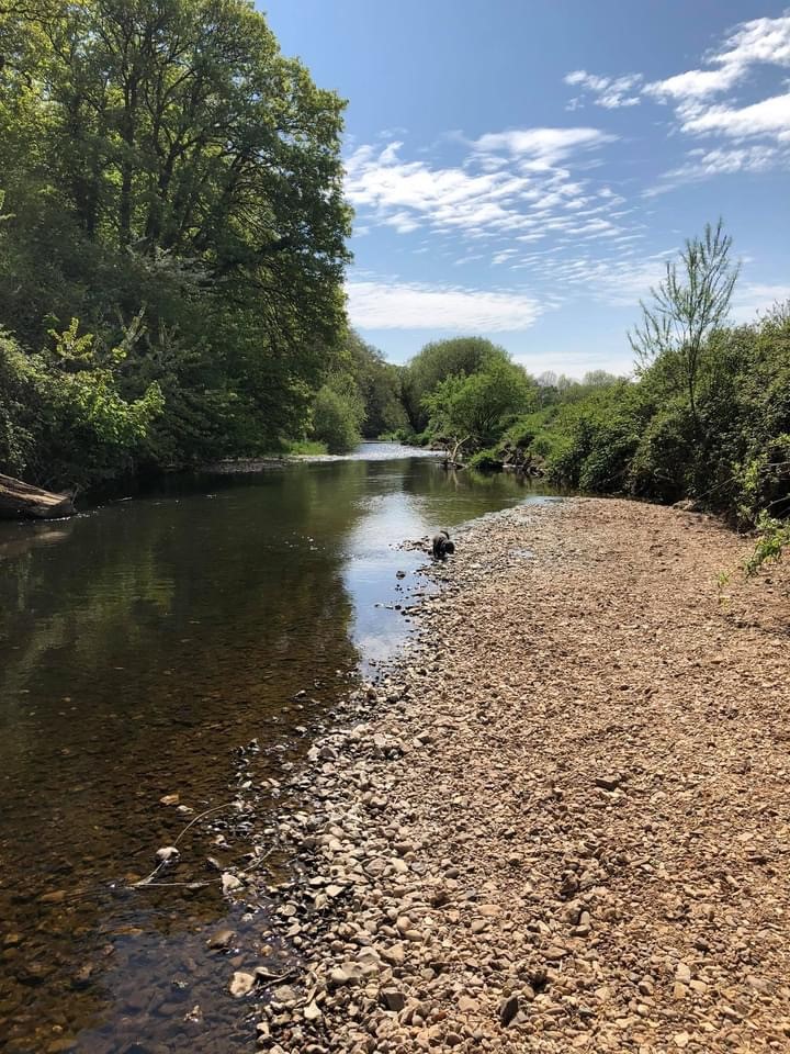 Beach on river